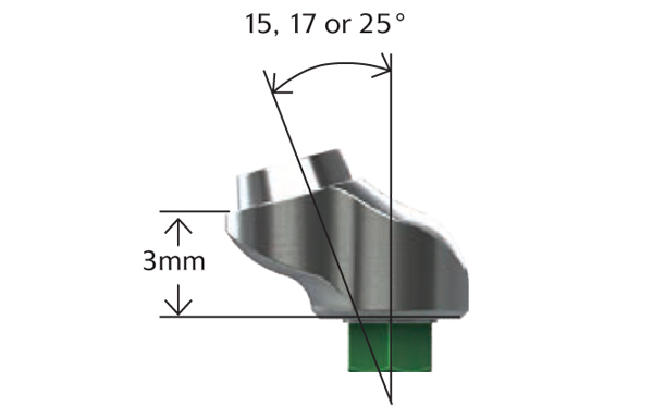 Angled Abutment for Screw - Hexed